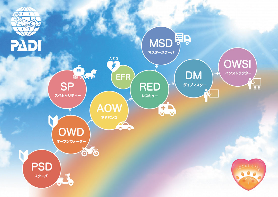 PADIダイビングライセンス種類 – 心晴れダイビング