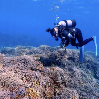 3月5日 サンゴの日 沖縄の珊瑚