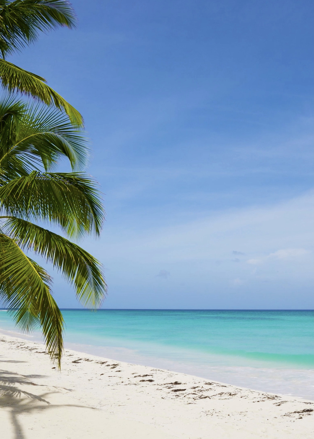 心晴れダイビング